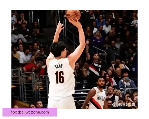 望无大碍 开拓者官方宣布罗威因下背部伤势退出比赛不会回归